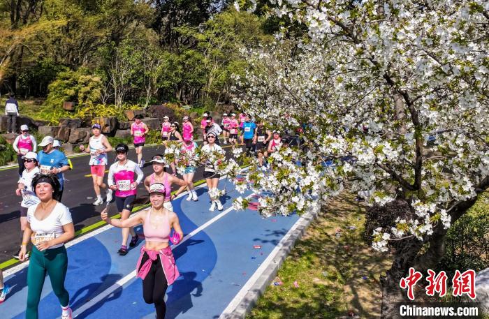 无锡马拉松35000跑者共绘江南画卷